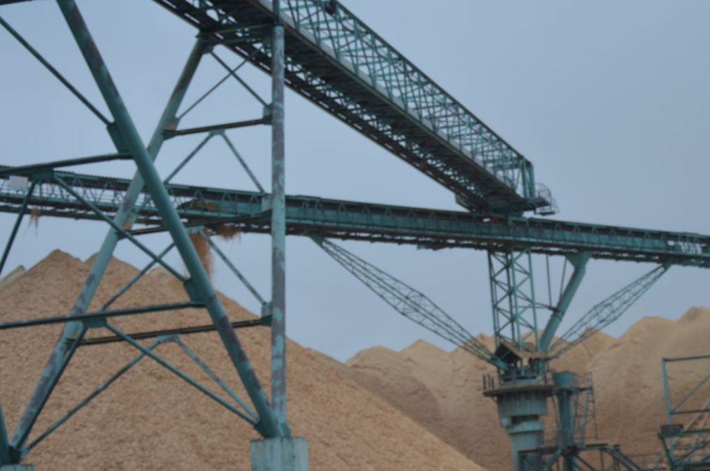 team-pliszka-swiecie